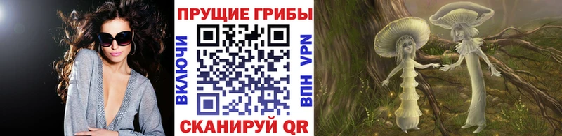 кракен онион  Шилка  Псилоцибиновые грибы Cubensis 