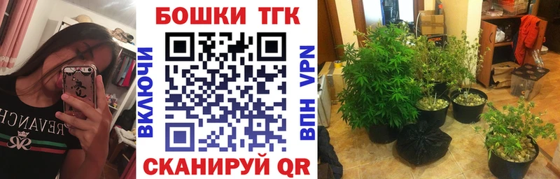 Шишки марихуана AK-47  кракен как зайти  Шилка  купить  цена 